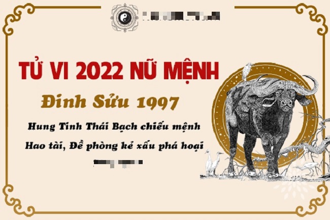 Xem tử vi nam nữ 2022 về tài chính Xem tu vi nam nu 2022 ve tai chinh