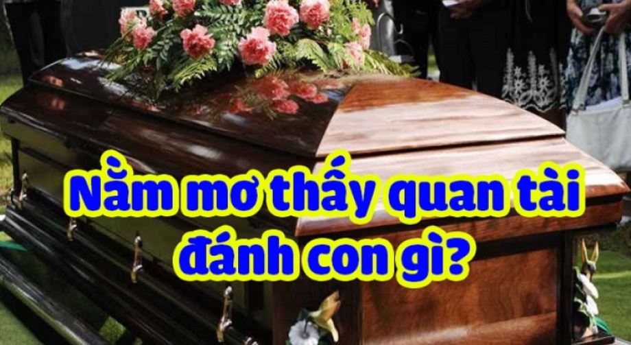 Mơ thấy quan tài đánh số gì?