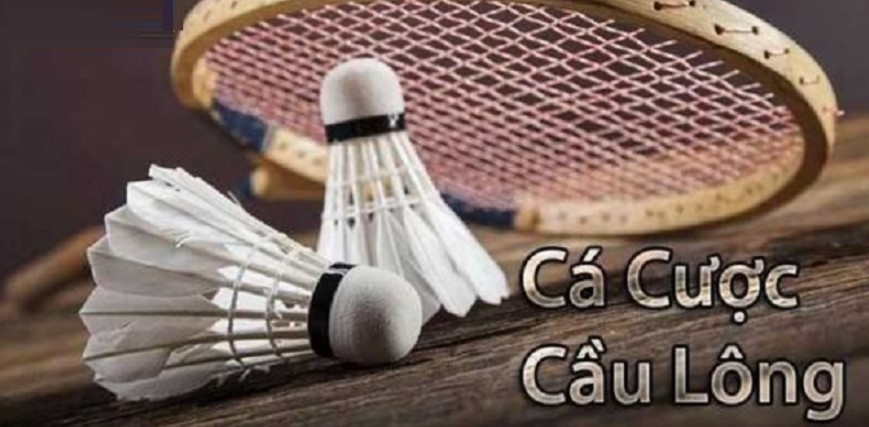 Ca cuoc cau long la gi?