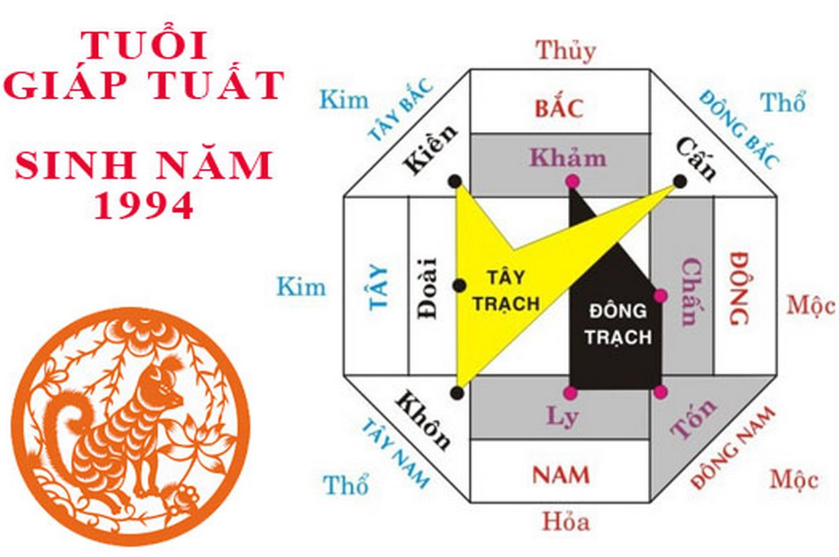 Y nghia cua viec xem Huong Nha Cho Tuoi 1994