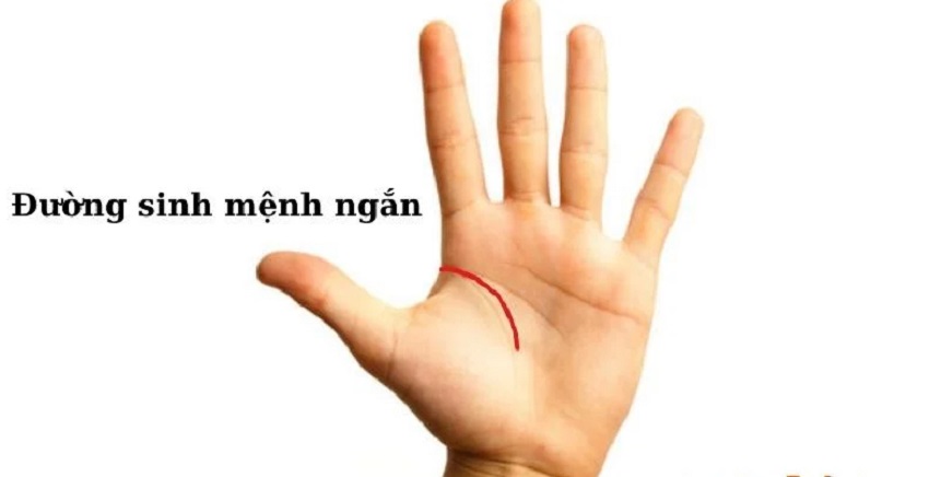 Dan ong doan tho co duong sinh menh ngan Dan ong co duong sinh menh ngan